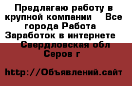 Предлагаю работу в крупной компании  - Все города Работа » Заработок в интернете   . Свердловская обл.,Серов г.